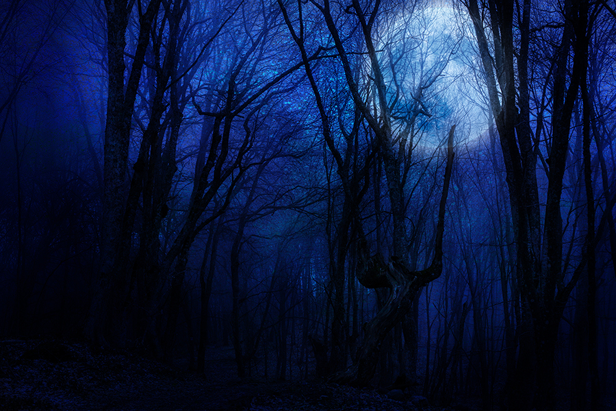 Spooky full moon seen through barren trees